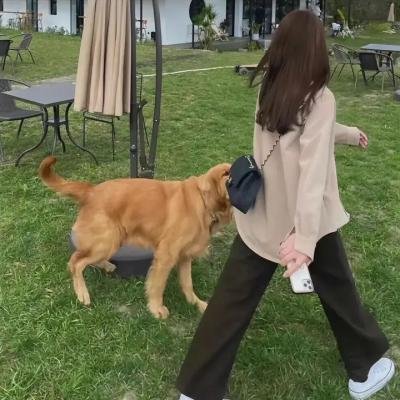 伐木工人的死亡